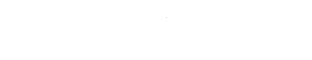Ramírez Dávalos y Asociados